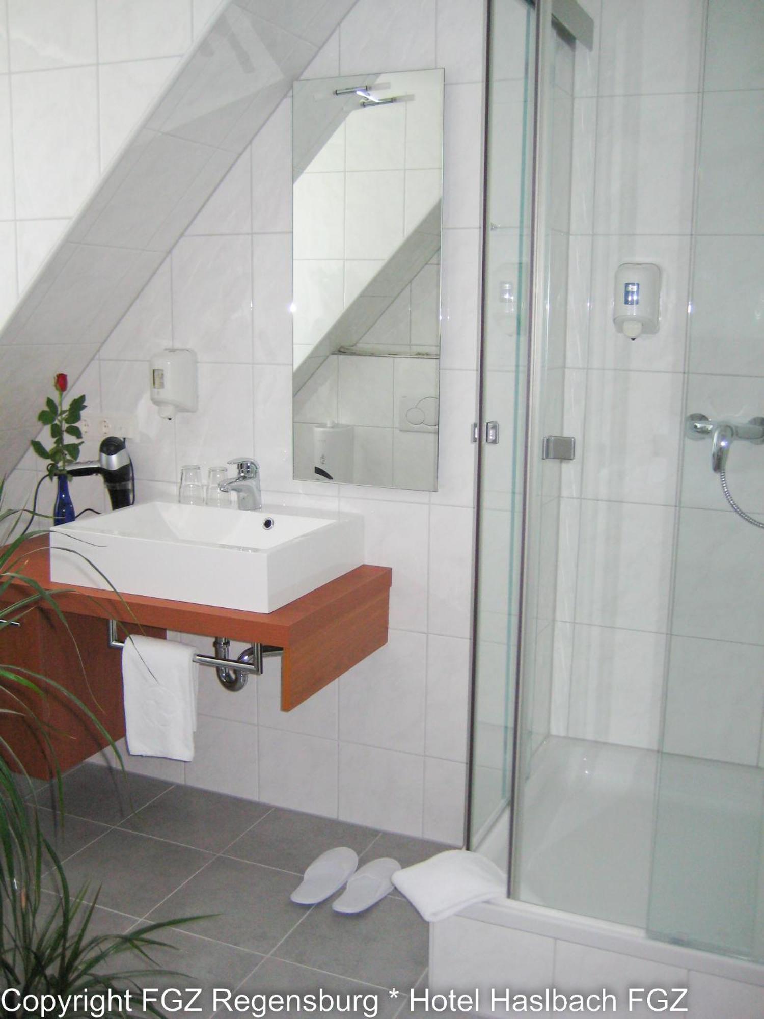 Apartment Komfort Apartmenthaus Haslbach Fgz Regensburg